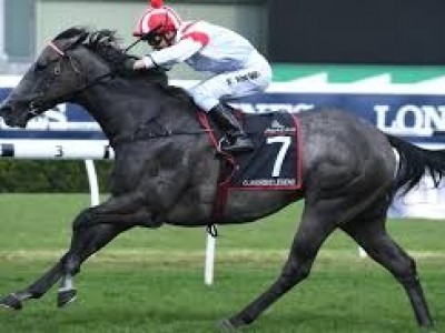 EVEREST WINNER CLASSIQUE LEGEND'S PATH FRAUGHT WITH CHALLENG ... Image 1